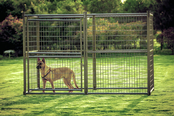 split panel dog kennel1